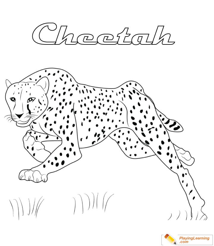 Cheetah coloring page free cheetah coloring page