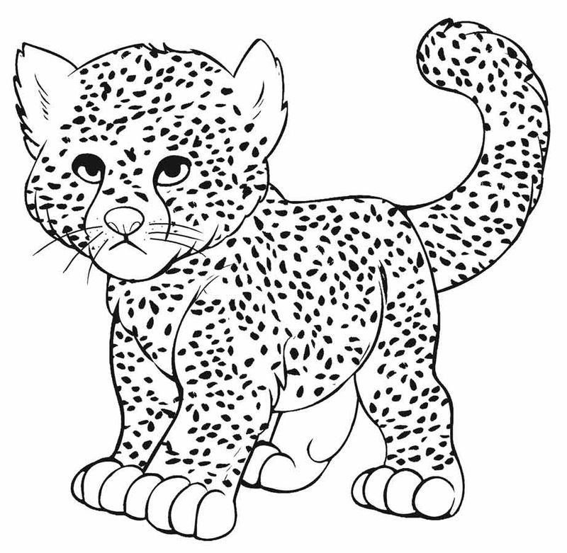 Printable cheetah coloring pages pdf