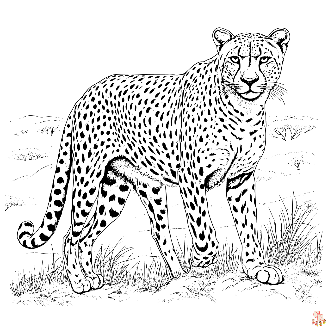 Printable cheetah coloring pages free for kids and adults