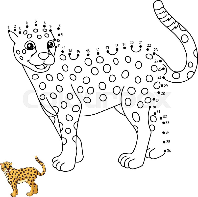 Dot to dot cheetah coloring page for kids stock vector