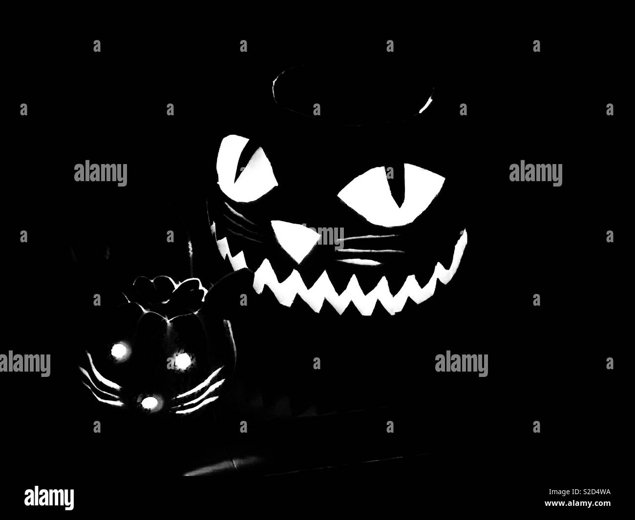 Black cat halloween hi