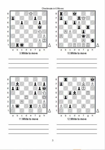 Checkmate in