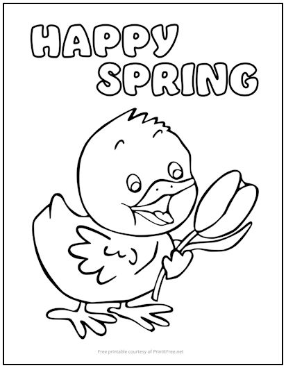 Happy spring chick coloring page print it free