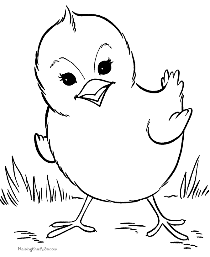 Bird coloring page baby chick