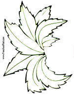 Chicka chicka boom boom printables