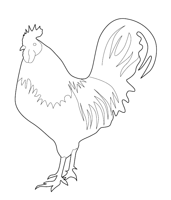 Hen colouring page free colouring book for children â monkey pen store