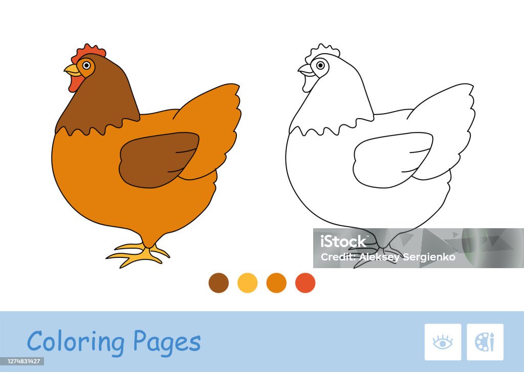 Colored template and simple colorless thick contour image of staying chicken for the youngest children coloring book domestic animals at farm bird yard and on countryside fun and learning for kids stock