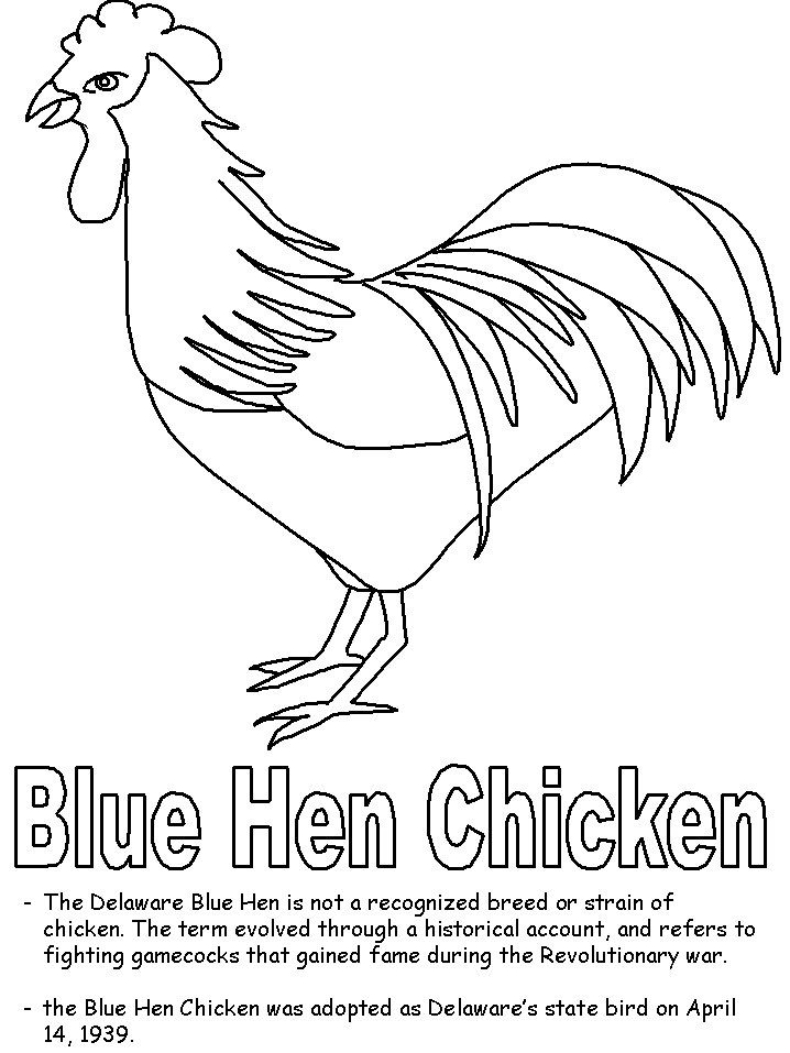 Blue hen chicken coloring page