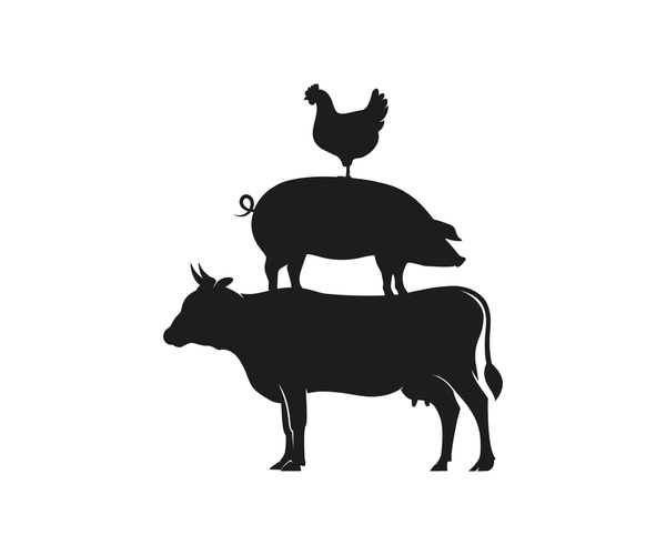 Hundred chicken stencil royalty