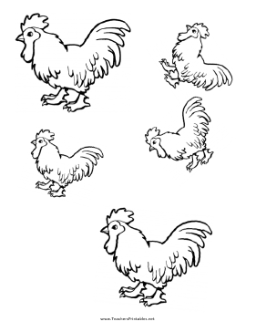 Chicken templates