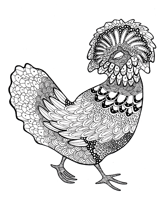 Polish from difficult chickens coloring book greeting card by sarah rosedahl