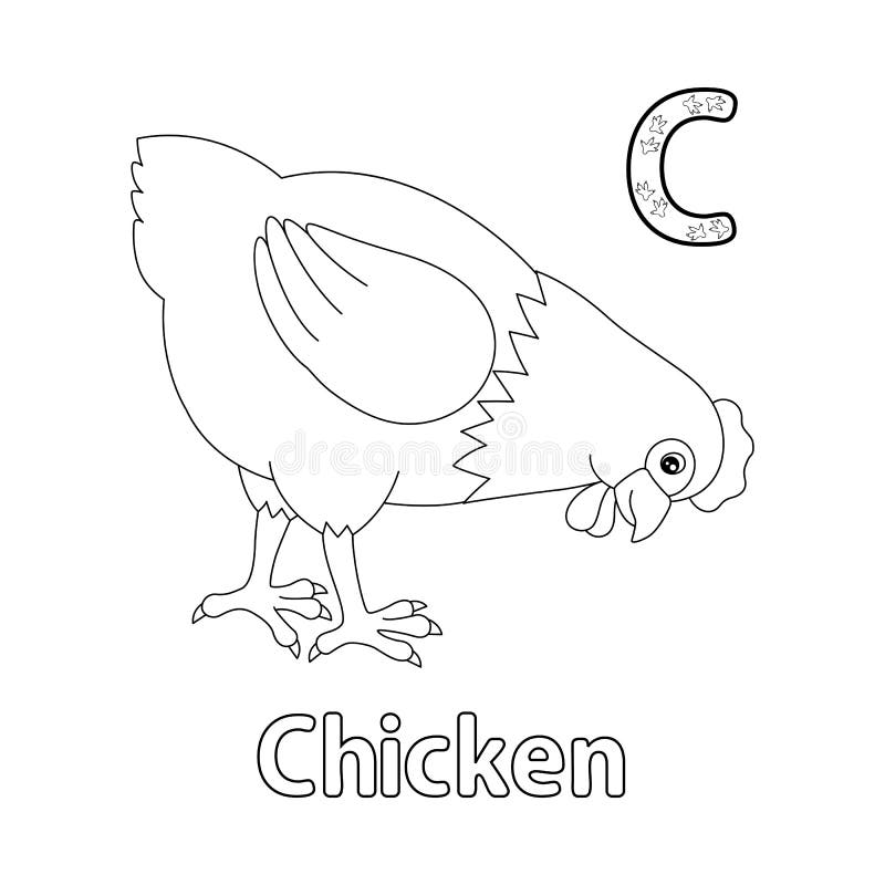 C chicken stock illustrations â c chicken stock illustrations vectors clipart