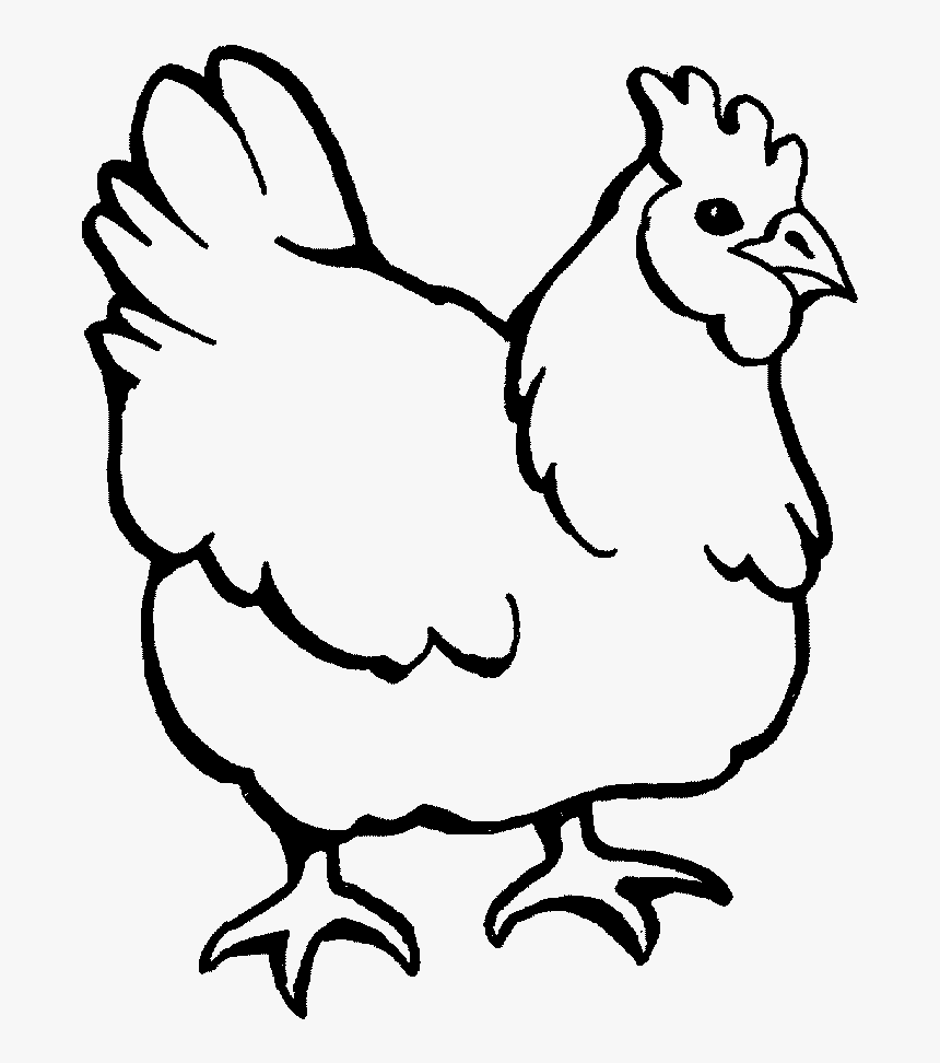 Chicken clipart coloring page printable chicken clipart