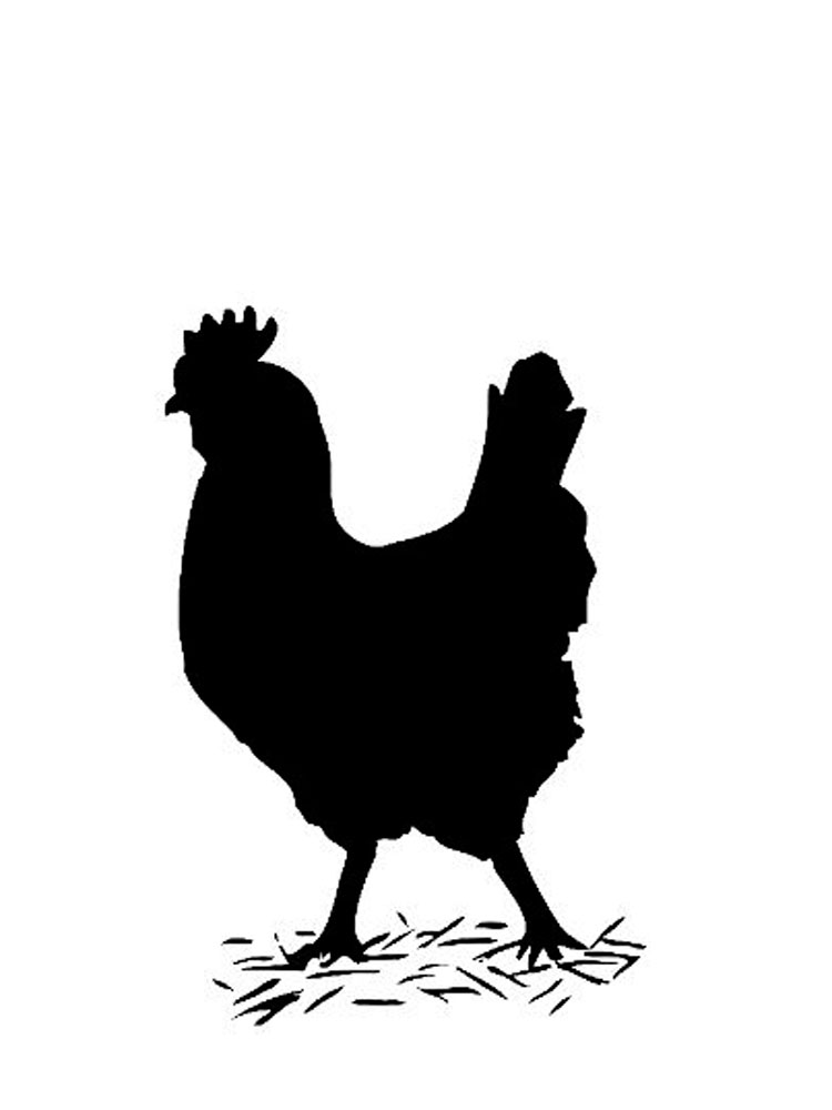 Chicken stencils