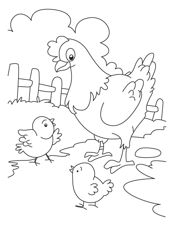 Chicken coloring pages