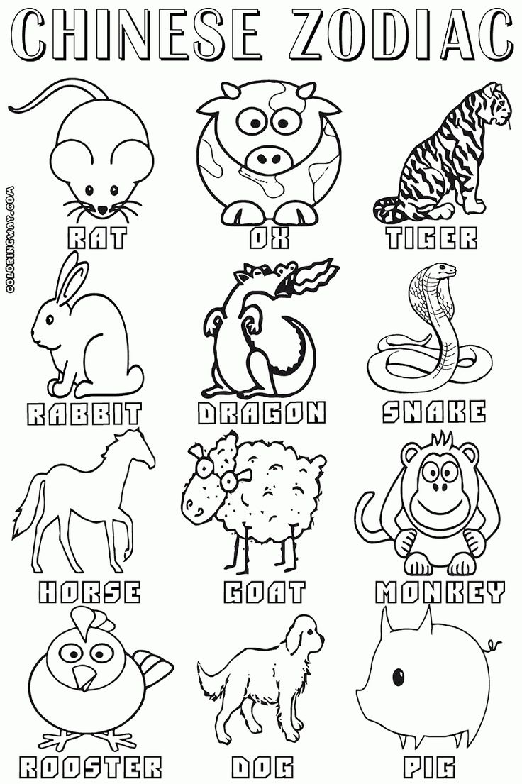 Exceptional chinese zodiac signs and dates printable chinese zodiac signs animal coloring pages chinese zodiac