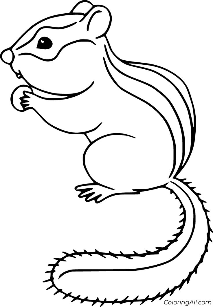 Free printable chipmunk coloring pages easy to print from any device and automatically fit any paper size coloring pages fall coloring pages chipmunks