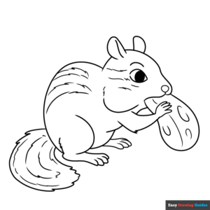 Chipmunk coloring page easy drawing guides