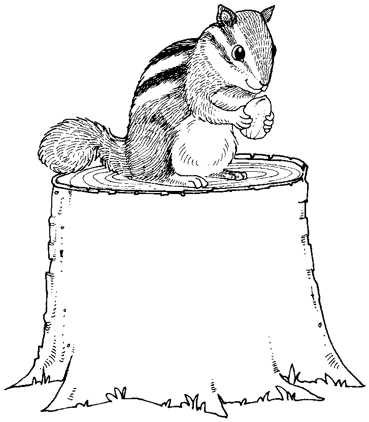 Free chipmunk coloring pages