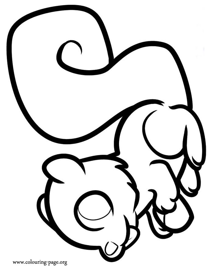 Squirrels