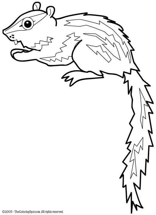 Chipmunk coloring page audio stories for kids free coloring pages colouring printables