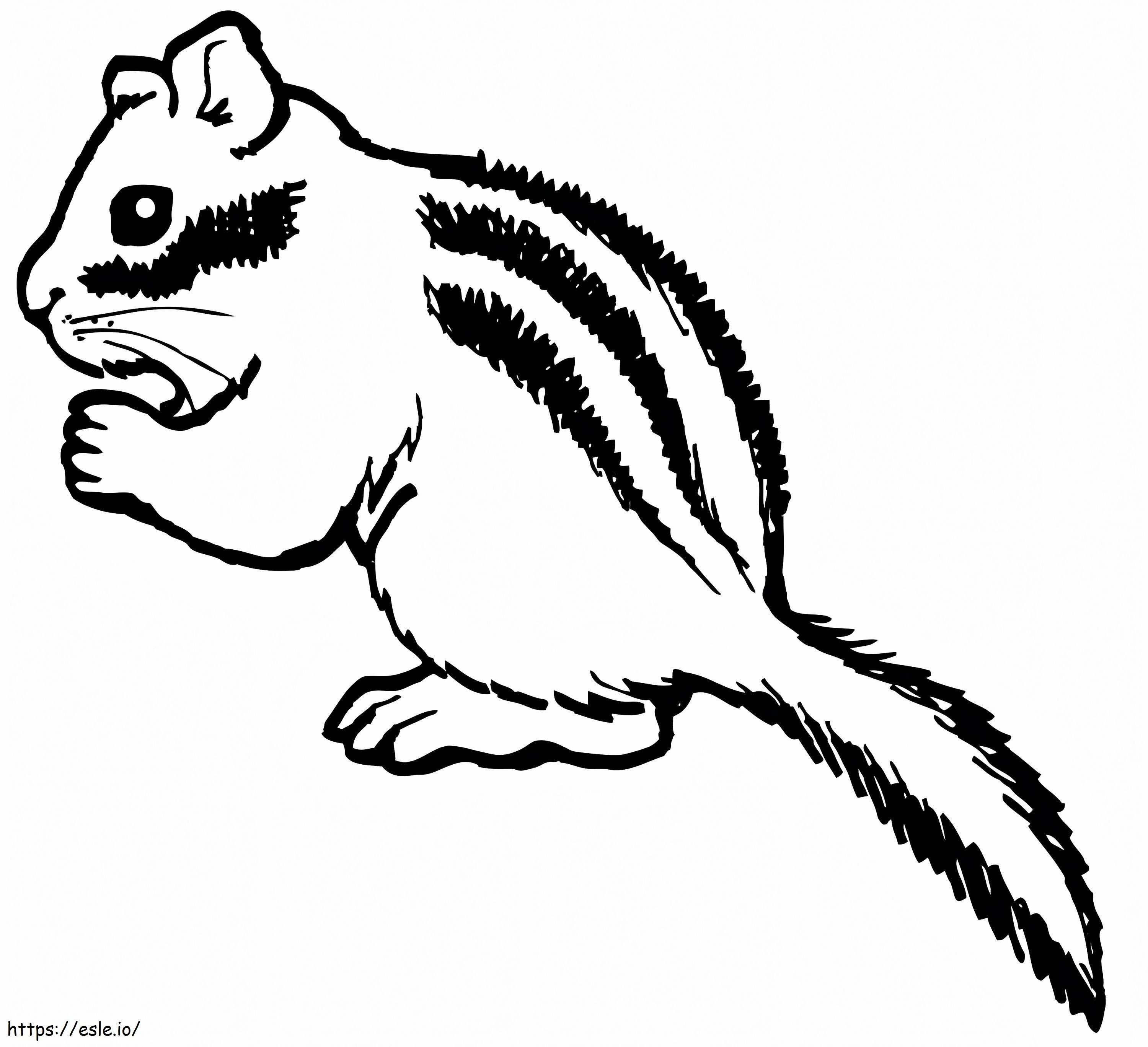 Chipmunk eats nut coloring page