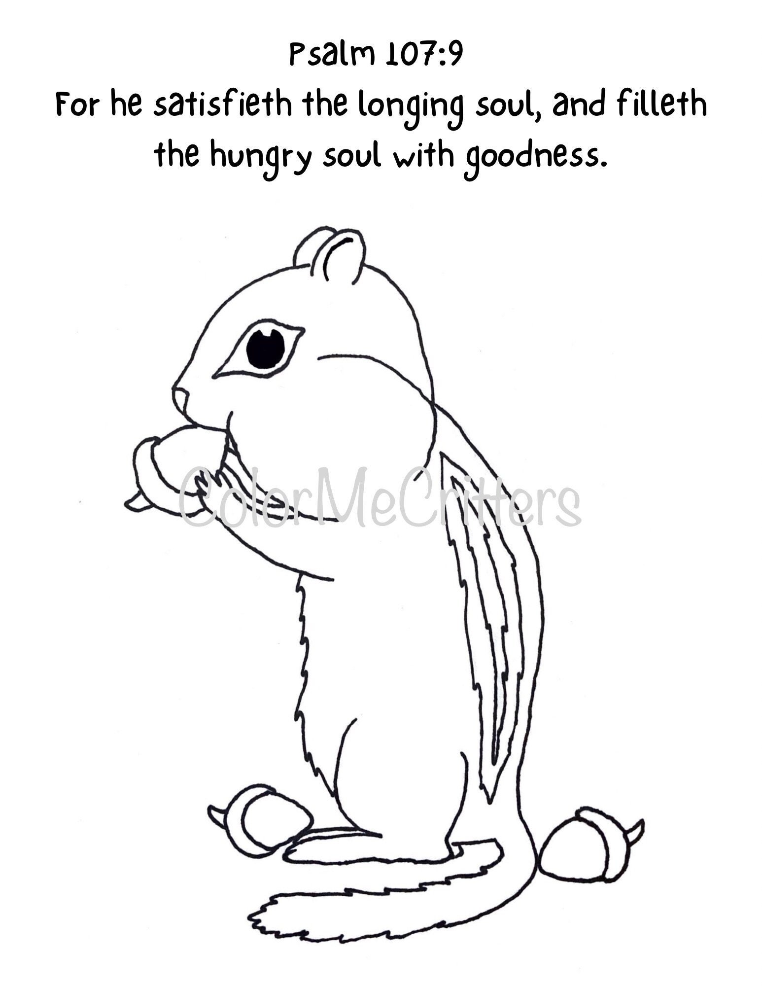 Chipmunk coloring