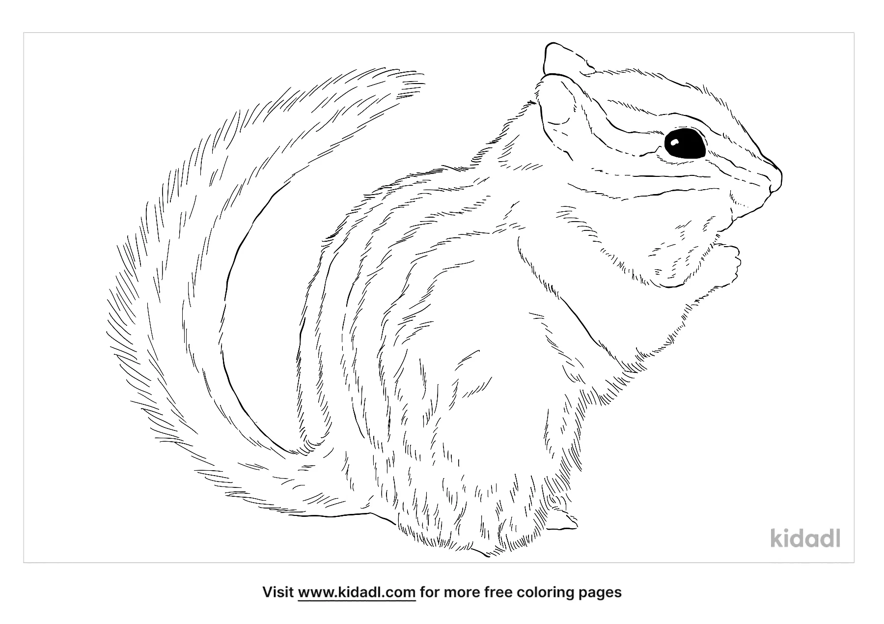 Free least chipmunk coloring page coloring page printables