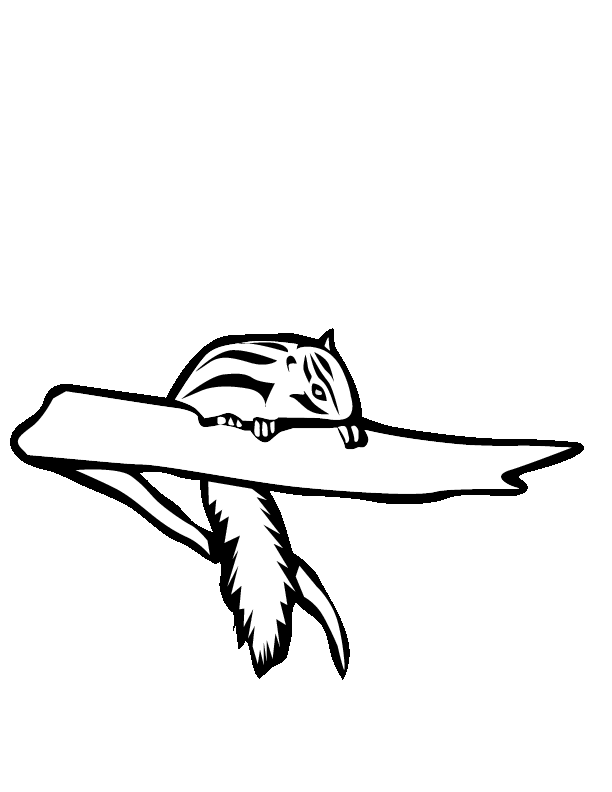 Chipmunk coloring pages