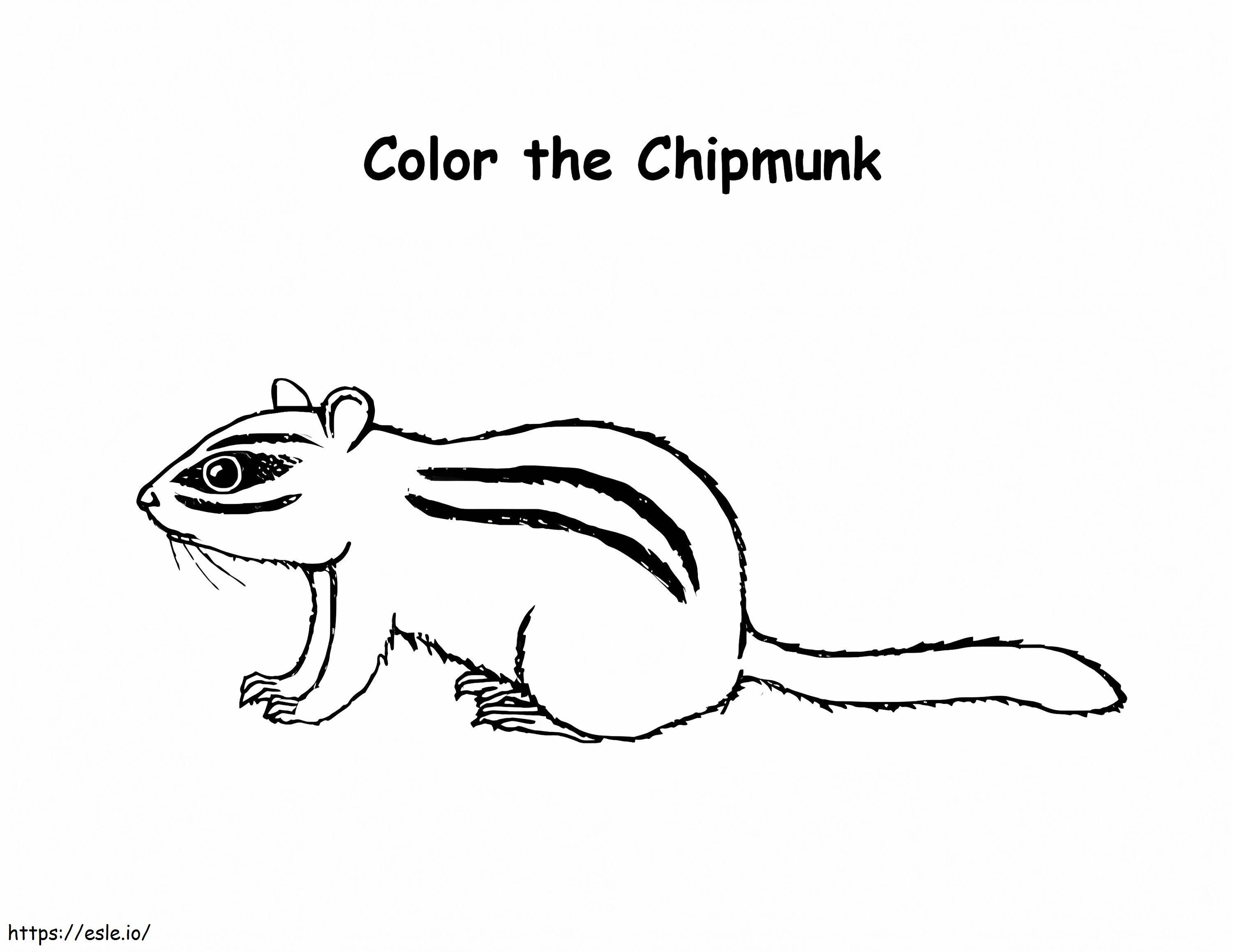 Chipmunk printable coloring page