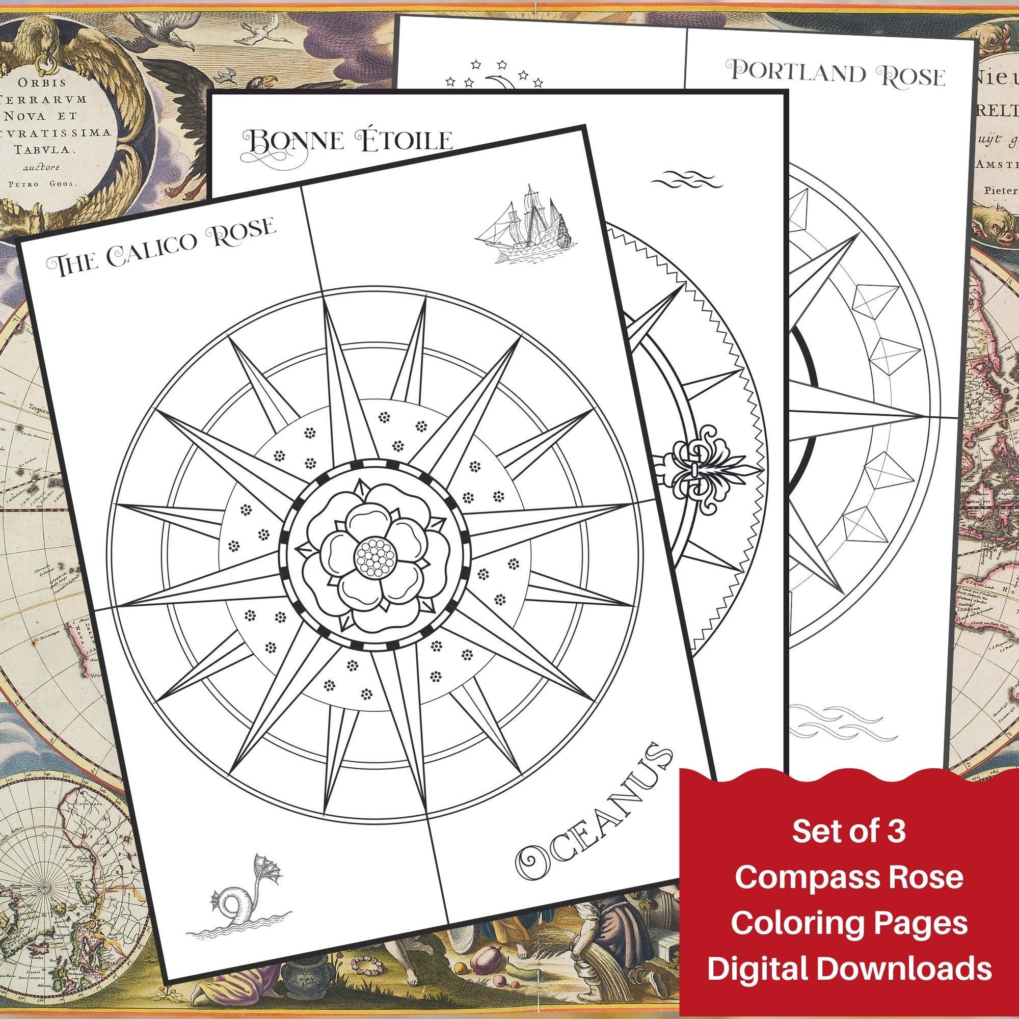 Bundle of pass rose digital printable coloring pages us letter a sizes included