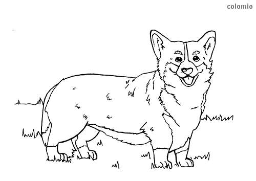 Dogs coloring pages free printable dog coloring sheets