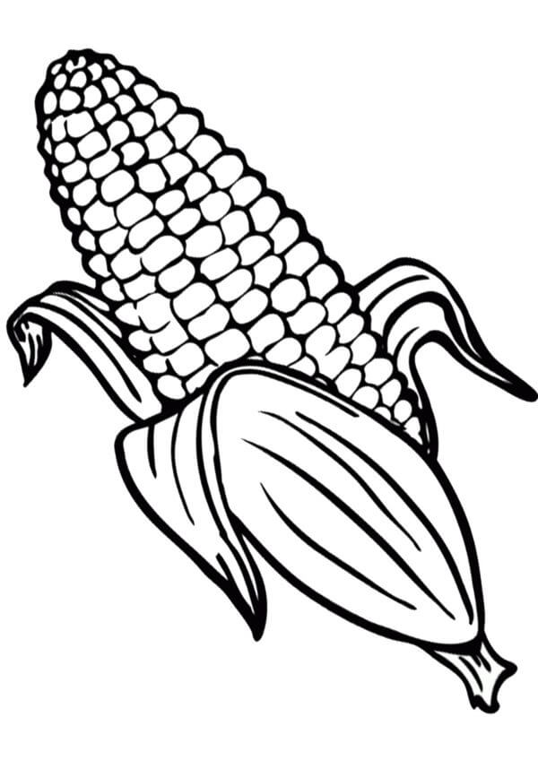 Even little kids love corn coloring page