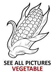 Corn on the cob coloring page