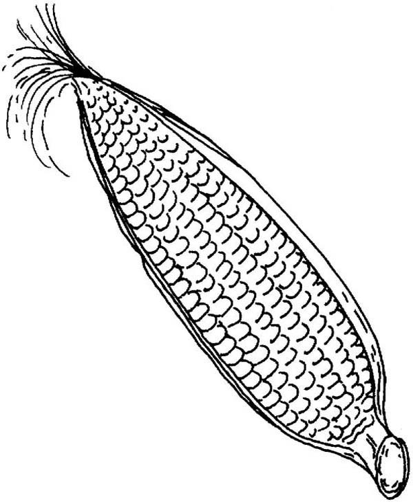 Corn coloring pages