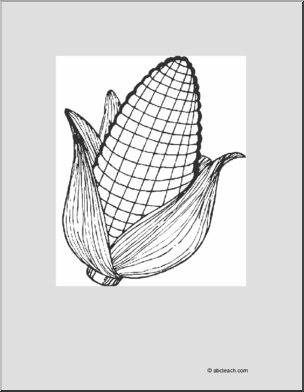 Coloring page corn