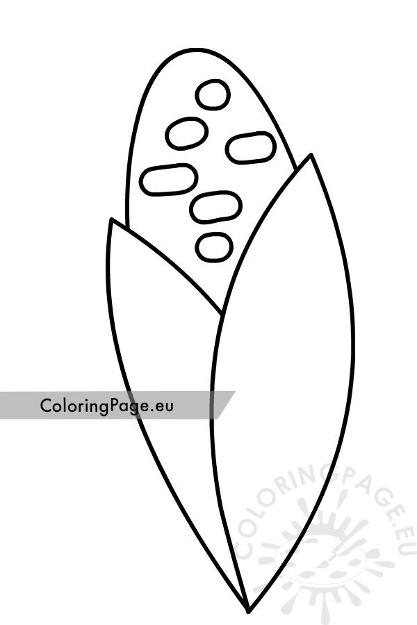 Corn cob template printable coloring page