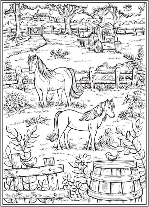 Explore the beauty of country living with these free coloring pages