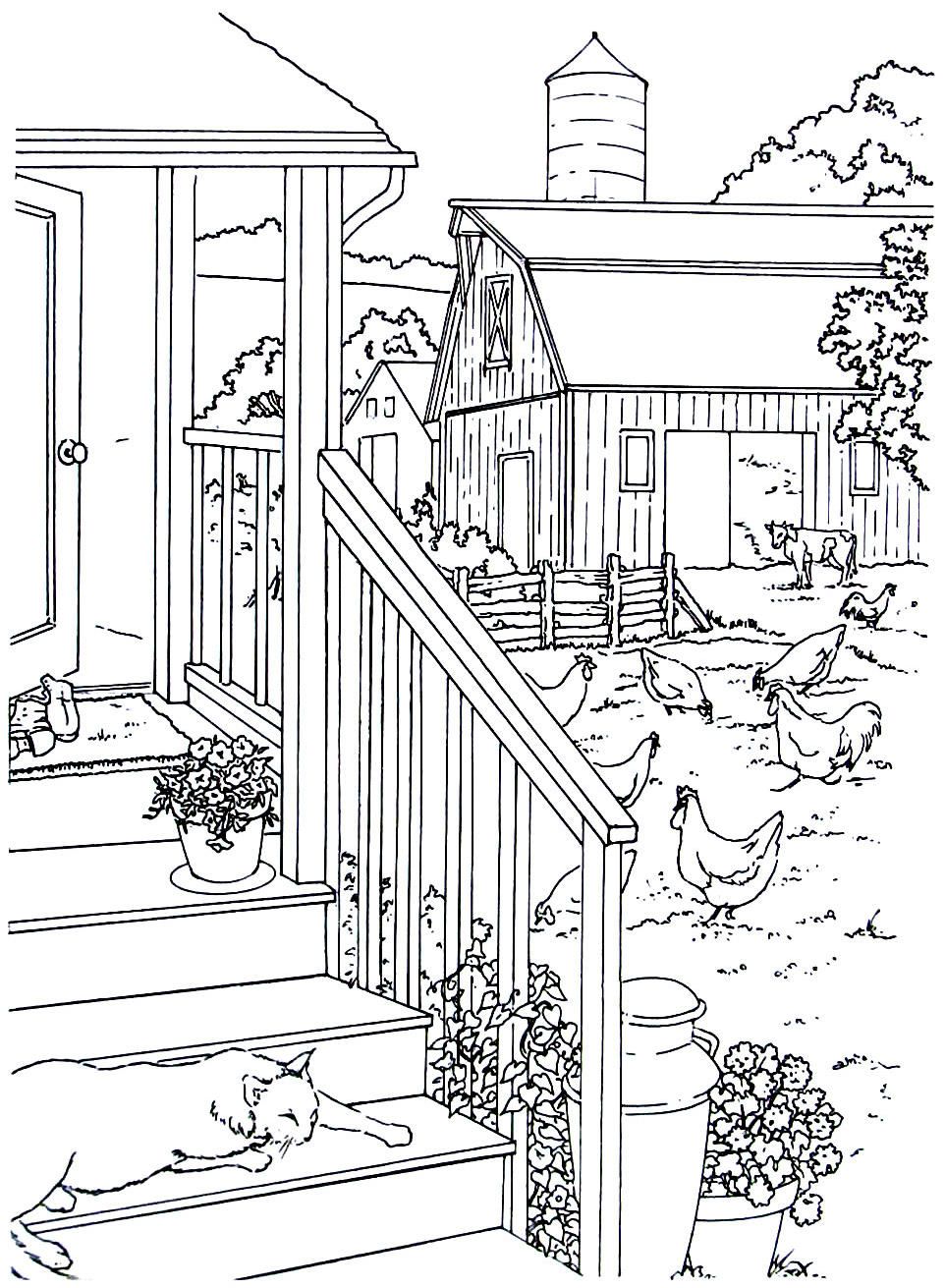 Country house with chickens