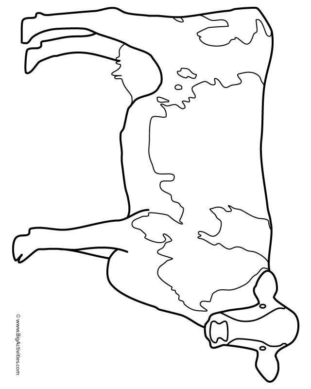 Cow