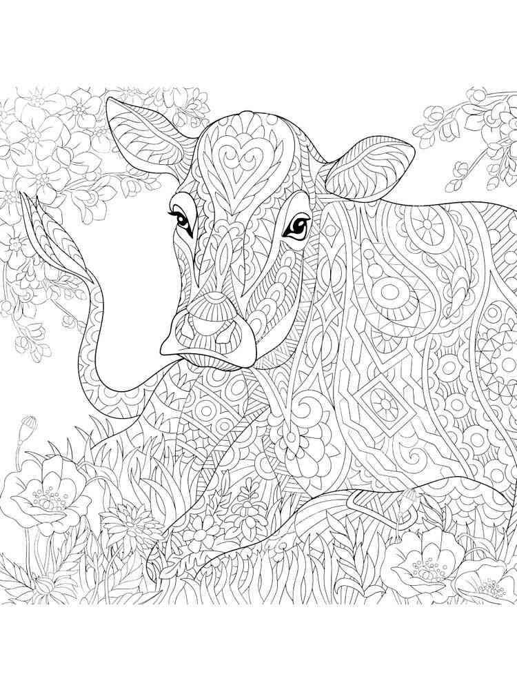 Cow coloring pages for adults