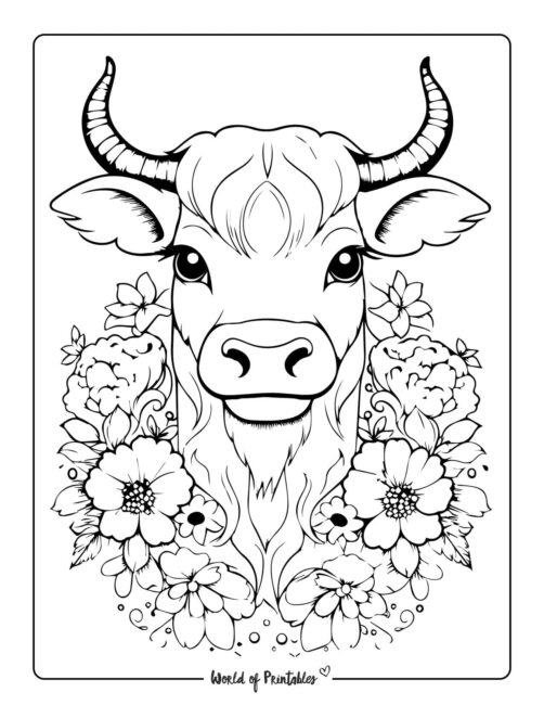 Cow coloring pages for kids adults
