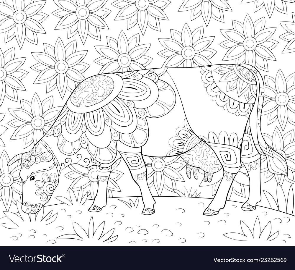 Adult coloring bookpage a cute cow grazes grass vector image