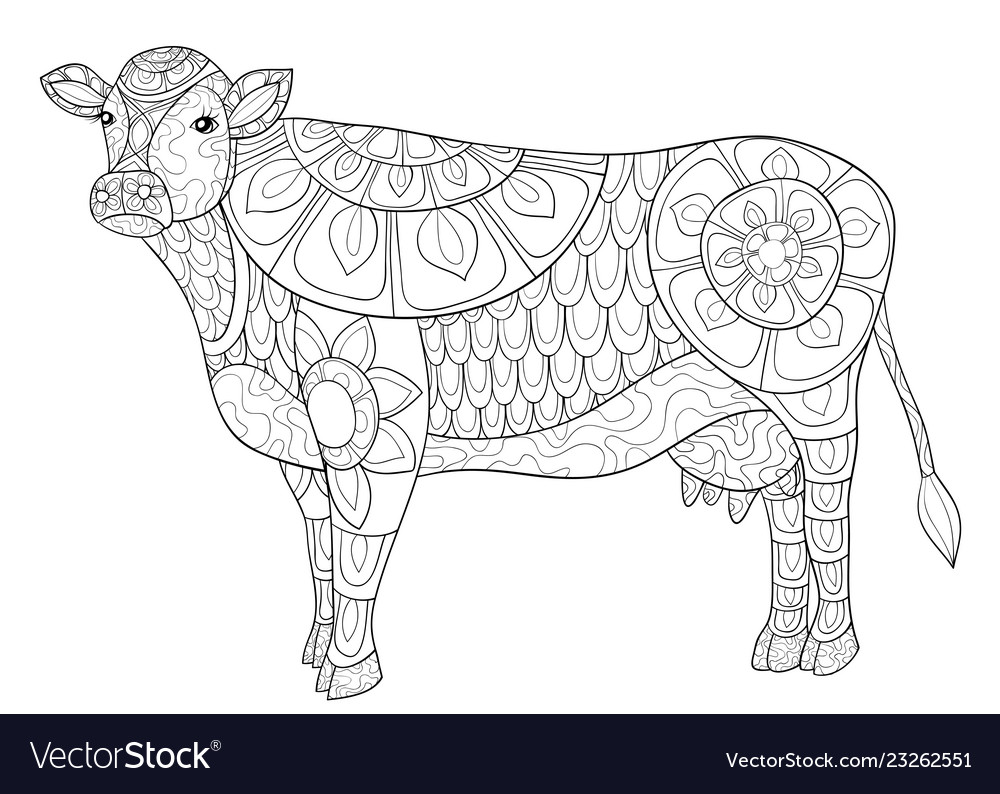 Adult coloring bookpage a cute cow image vector image