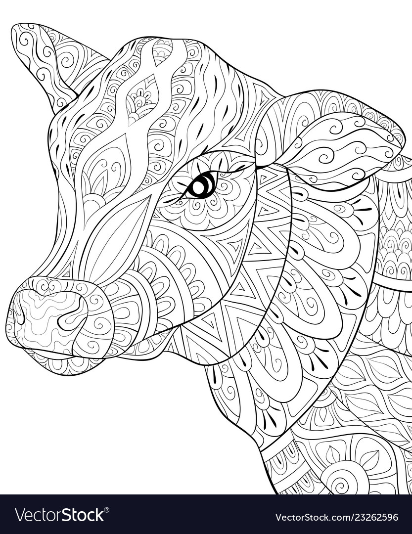 Adult coloring bookpage a cute head of cow image vector image