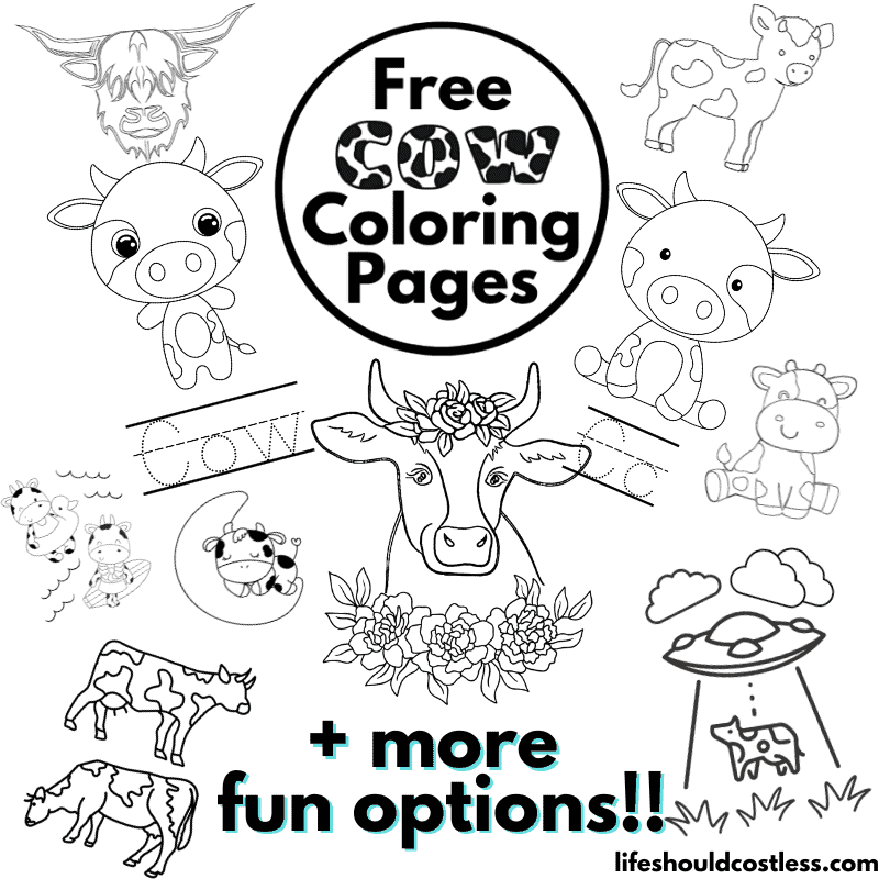 Cow coloring pages free printable pdf templates