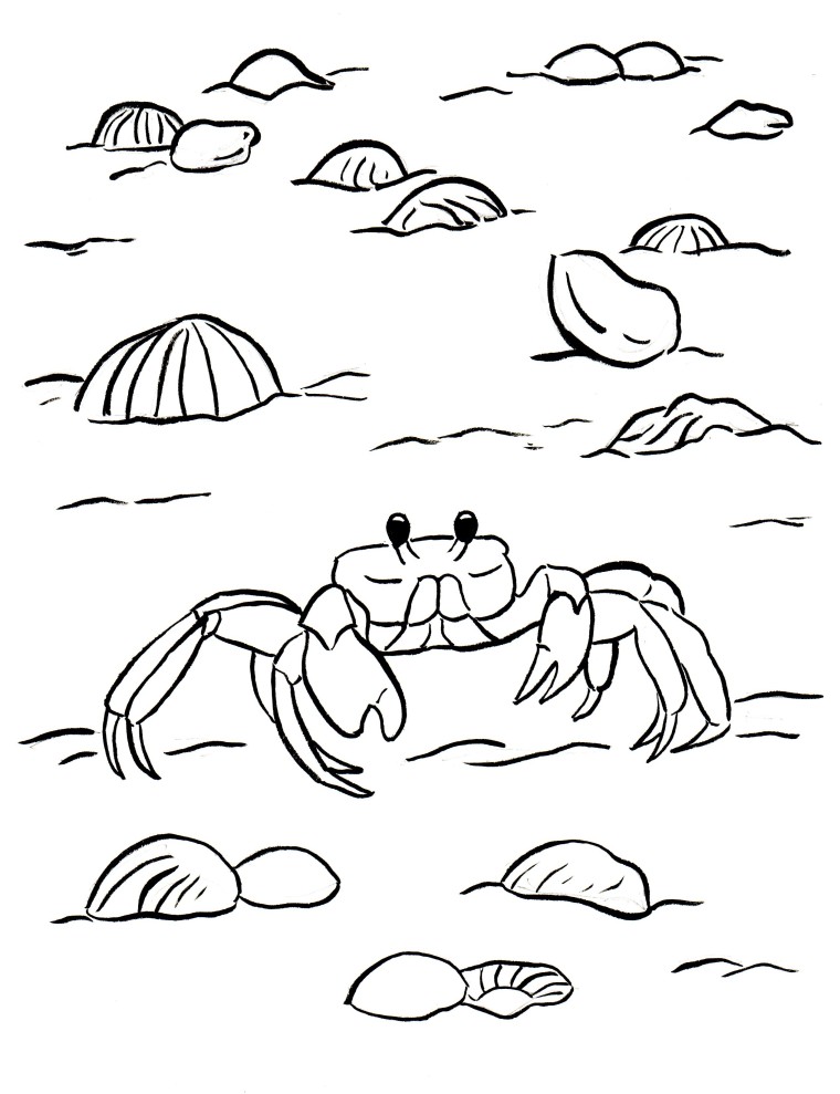 Ghost crab coloring page