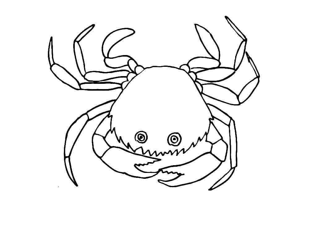 Free printable crab coloring page