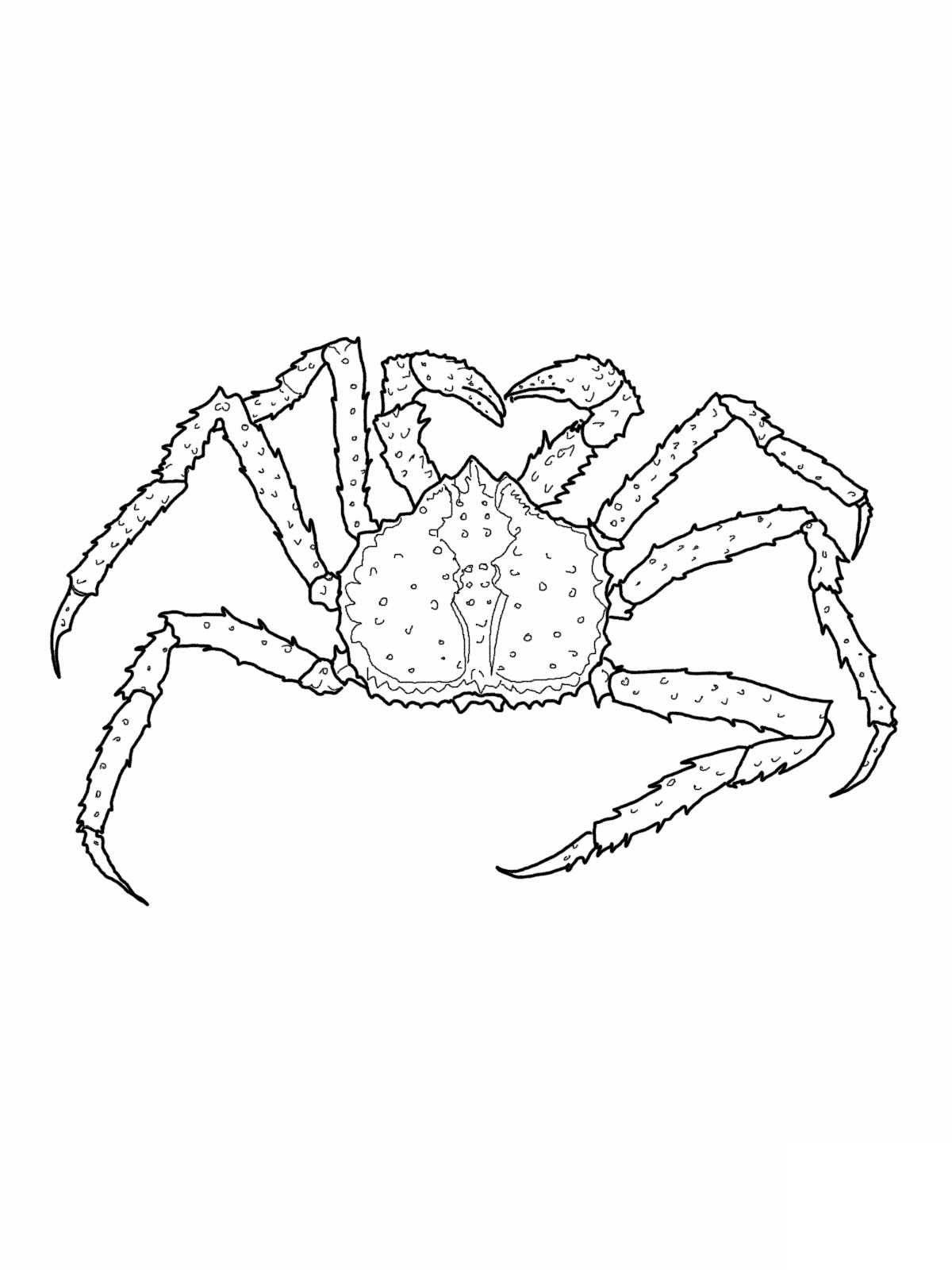 Free printable crab coloring pages for kids