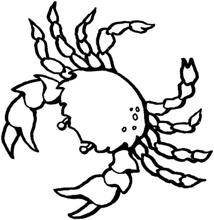Crab loring page for kids